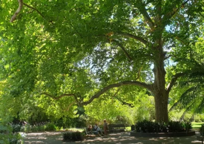Botanic Gardens 01
