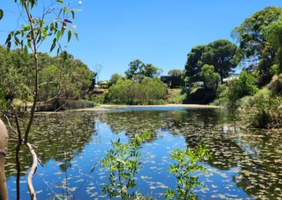 St Peters Billabong