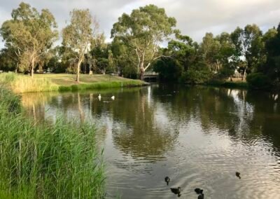 Capt Sturt's Cottage