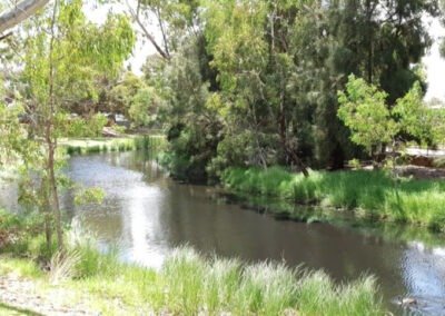Kirkcaldy Reserve 02