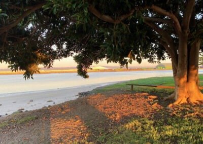 Snowden Beach 03